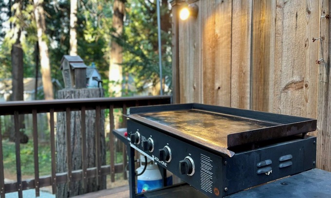 Placerville Cabin | Groovy Cabin in the woods is a perfect place for family and friends to gather.