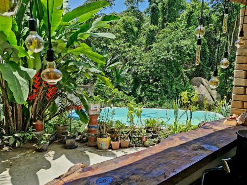 Tarituba House | Gruta do Pavão