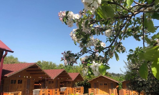 Tsandripsh House | Guest House Lev