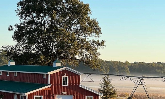 Mercer House | Guesthouse Front Suite