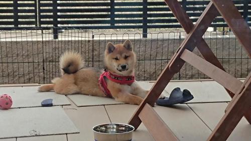 Gifu House | Guesthouse Gifu SUAI