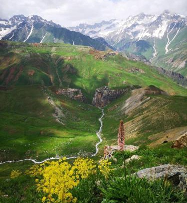 Sughd Province House | Guldara Guest House