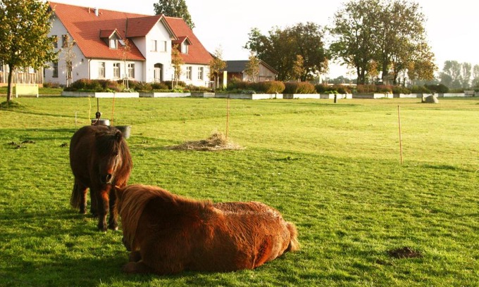 Stahlbrode House | Gutshaus Landwert Hof