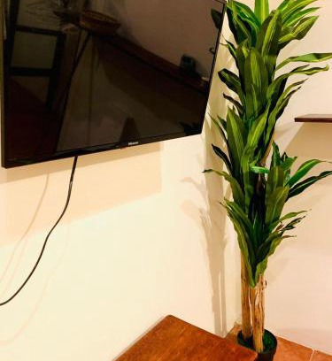 San Cristobal de las Casas House | Habitaciones Sancris