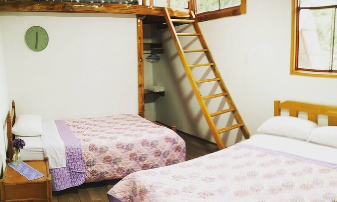 Oxapampa Cottage | Habitacion tipo cabaña con acabados en madera, terraza con vista hacia la montaña