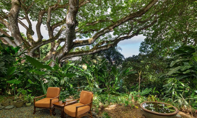 Kaneohe Apartment | Hale Ulula'au - A peaceful forest retreat