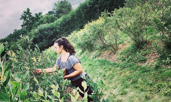 Boscawen RV Rental | Handcrafted, off-grid, no electricity-rustic-lux camping cabin w/running water.