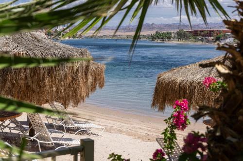 Laughlin Resort | Harrah's Laughlin, A Caesars Destination