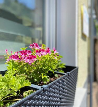 Cochem Apartment | "Haus Bella"