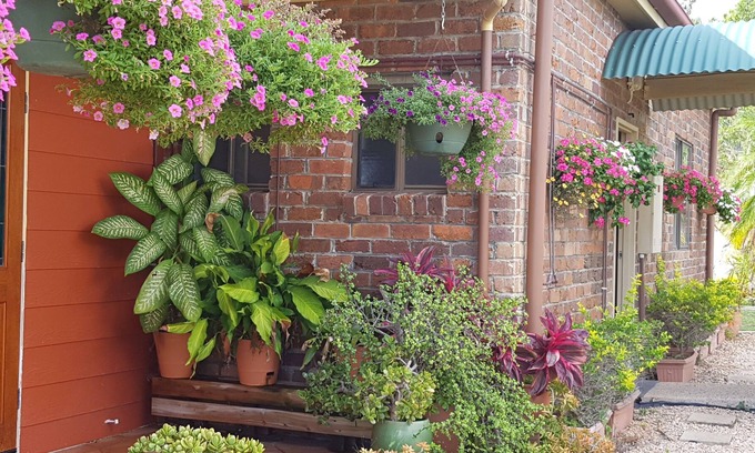 Hay Point Cottage | Hay Point Country Bed and Breakfast