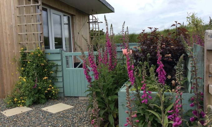 Maenclochog Cabin | Hedgerow Hut - the perfect Tiny House