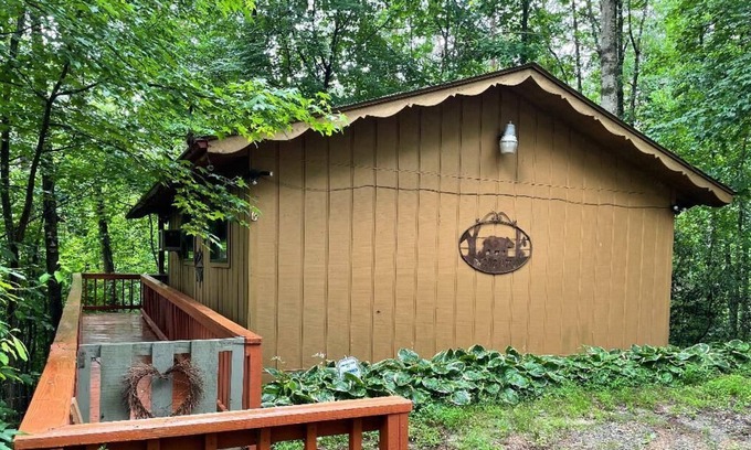 Sautee Nacoochee Cabin | Helen Ga, Wineries, Zip Lines, Hiking, Unicoi State Park and Lake Burton