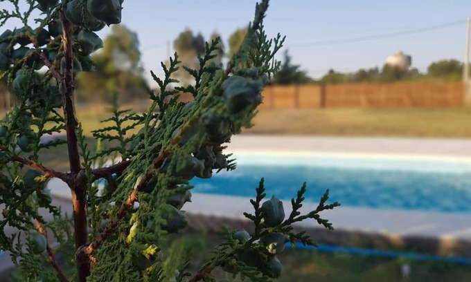 Pigue Apartment | Hermoso alojamiento temporario LA SOÑADA