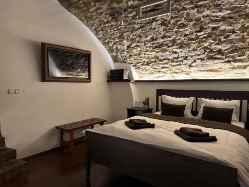 Stare Mesto Apartment | Historic Arch Apartment - Karlova Street