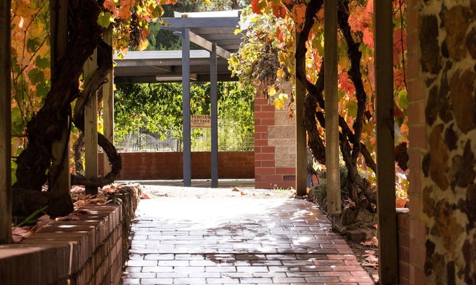 Tanunda Cottage | Historic home in top central Barossa location