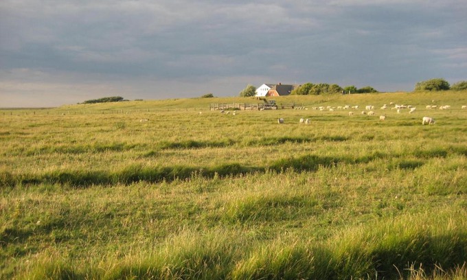Rodenas Apartment | Hof Rickelsbüll - Nordseeurlaub auf dem Biobauernhof