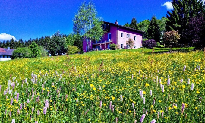 Neureichenau House | Holiday apartment Neureichenau for 2 persons with 1 bedroom - Holiday house