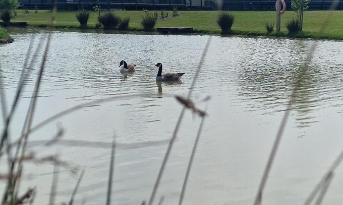 Skegness Cabin | Home Farm Park - Static Caravans