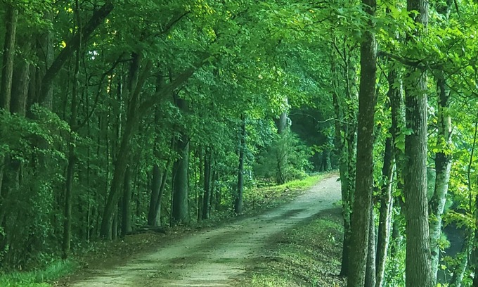 Grovetown Cabin | Home is set on10 acres w/pond, pool, spa, & only 9 miles to Masters golf course.