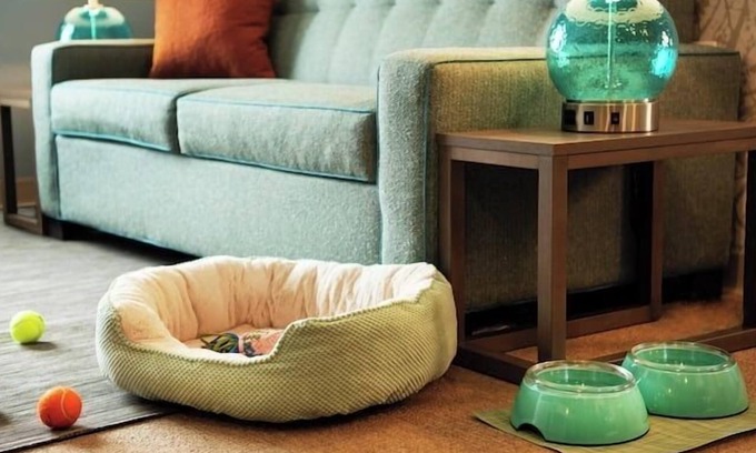 Griffin Hotel | Home2 Suites By Hilton Griffin