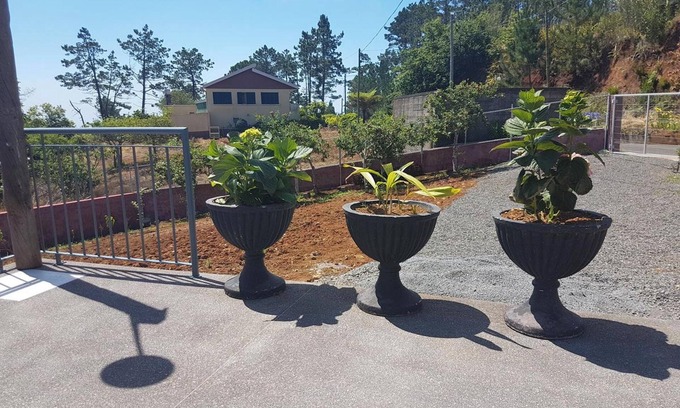 Prazeres Apartment | Homerez - Apartment in Prazeres