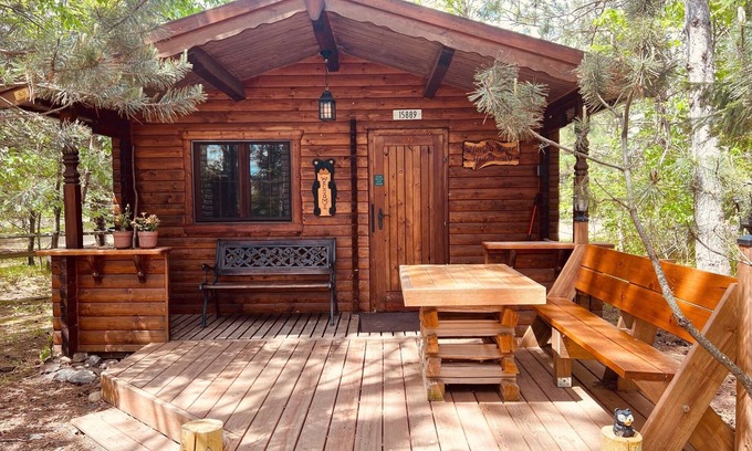 Hayward Cabin | Honey Bear Hideaway - studio cabin in the heart of hayward!