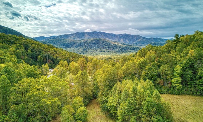 Cosby Cottage | Honeybee Cottage, Pickleball Court, Creek, WIFI, Mountain Views, Starting at $69