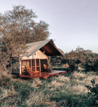 Thorny Bush Game Reserve Other | Honeyguide Tented Safari Camp - Khoka Moya