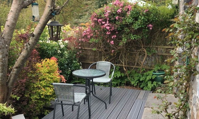 Neath Cabin | honeysuckle lodge 1 bed nestled in woodland area