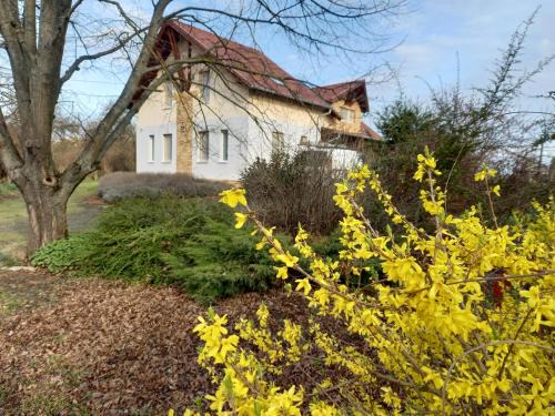 Horpacs House | Horpácsi Európa Pihenő Központ