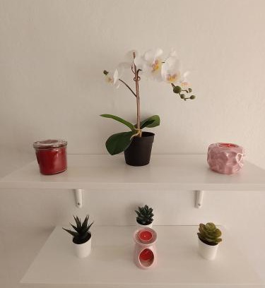 Texcoco Hotel | Hospedaje La Gloria