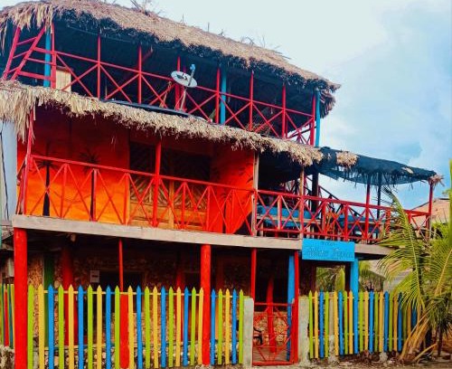 Monitos House | HOSTAL BELLEZA TROPICAL