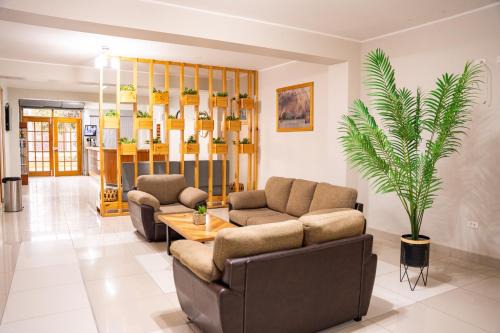 Nazca House | Hostal Los Balcones II