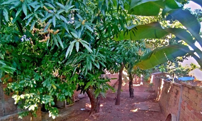 Trinidad Bed & Breakfast | Hostal Marlene y el Moro