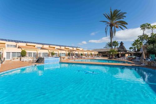 Corralejo Hotel | Hotel Arena Suite - Adults Only