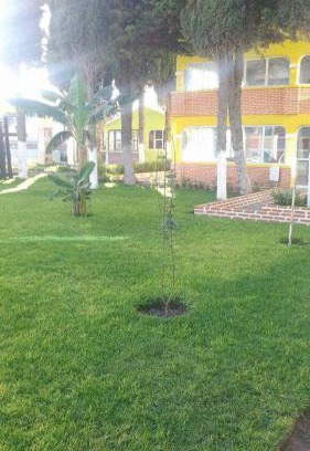 Ixmiquilpan Hotel | Hotel Cipreses