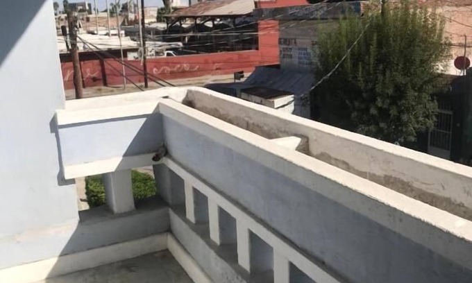 Torreon Hotel | Hotel Fundadores