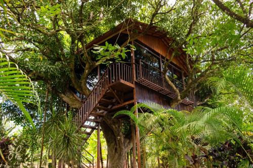 Penas Blancas Hotel | Hotel Heliconias Nature Inn & Hot Springs