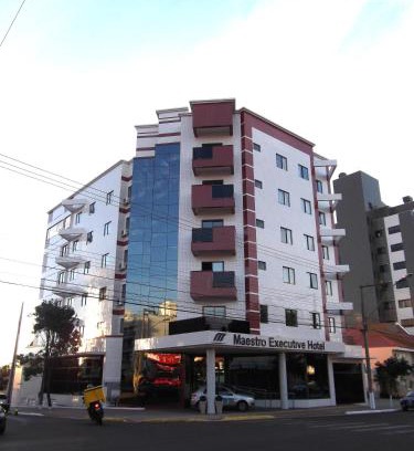 Centro Hotel | Hotel Maestro Executive Toledo