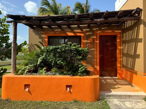 Celestun Hotel | Hotel Manglares Cabaña Fragata