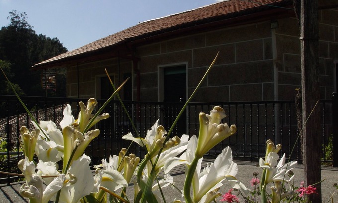 Nogueira de Ramuin Cottage | House in Viñoas - Ribeira Sacra (Ourense)