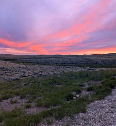 Atlantic City Bed & Breakfast | House of Palmer