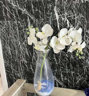 Sacramenta House | House style Apartment! prox to the Airport