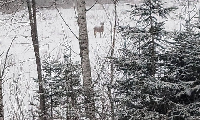 Allagash House | Hunting Camp Allagash Maine