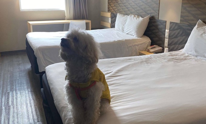 Tlalnepantla Centro Hotel | ibis Mexico Tlalnepantla