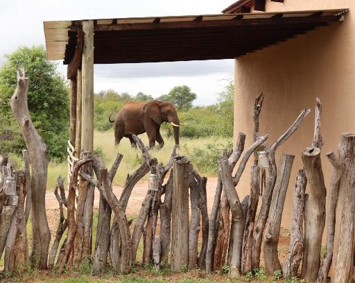 Phalaborwa House | iMbamuweti Cottage