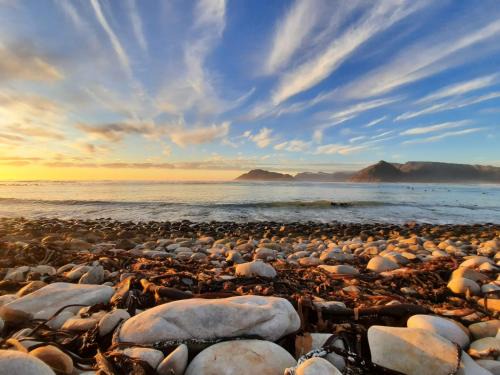 Kommetjie House | In a Forest by the Sea