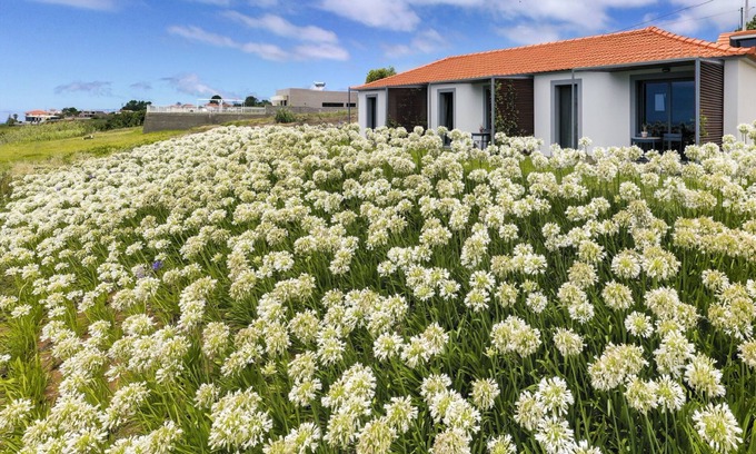 Prazeres Cottage | In peaceful Prazeres | Qta. Inácia Orchid Studio