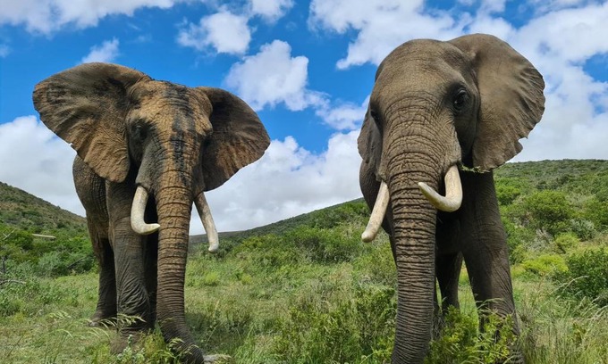 Mossel Bay Ski Chalet | Indalu Game Reserve