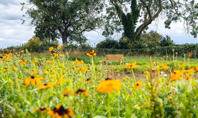 Arnold Cottage | Indrek - Mayflower Meadow